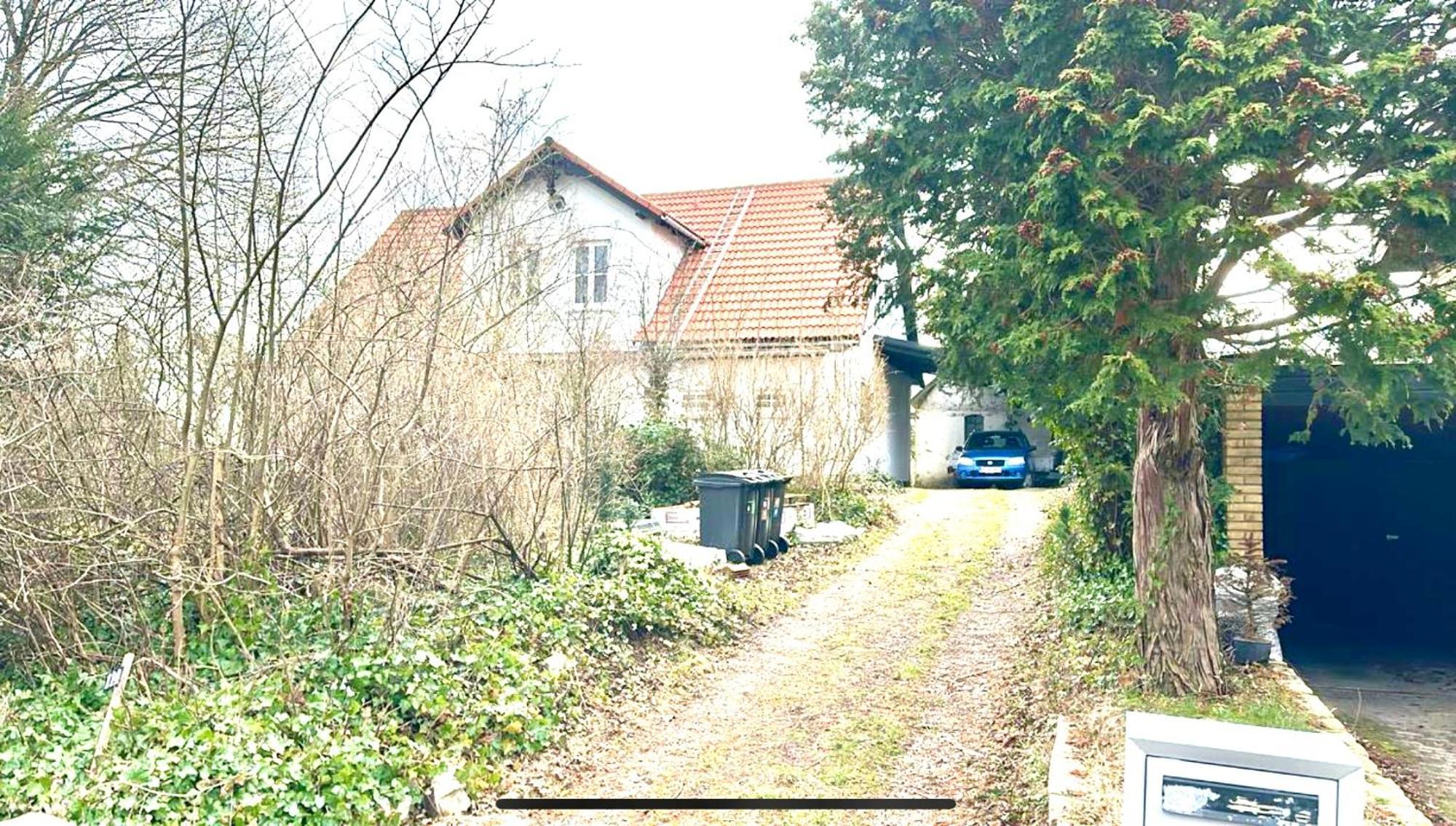 Villa Apartment Near Lousiana Humlebæk Kültér fotó