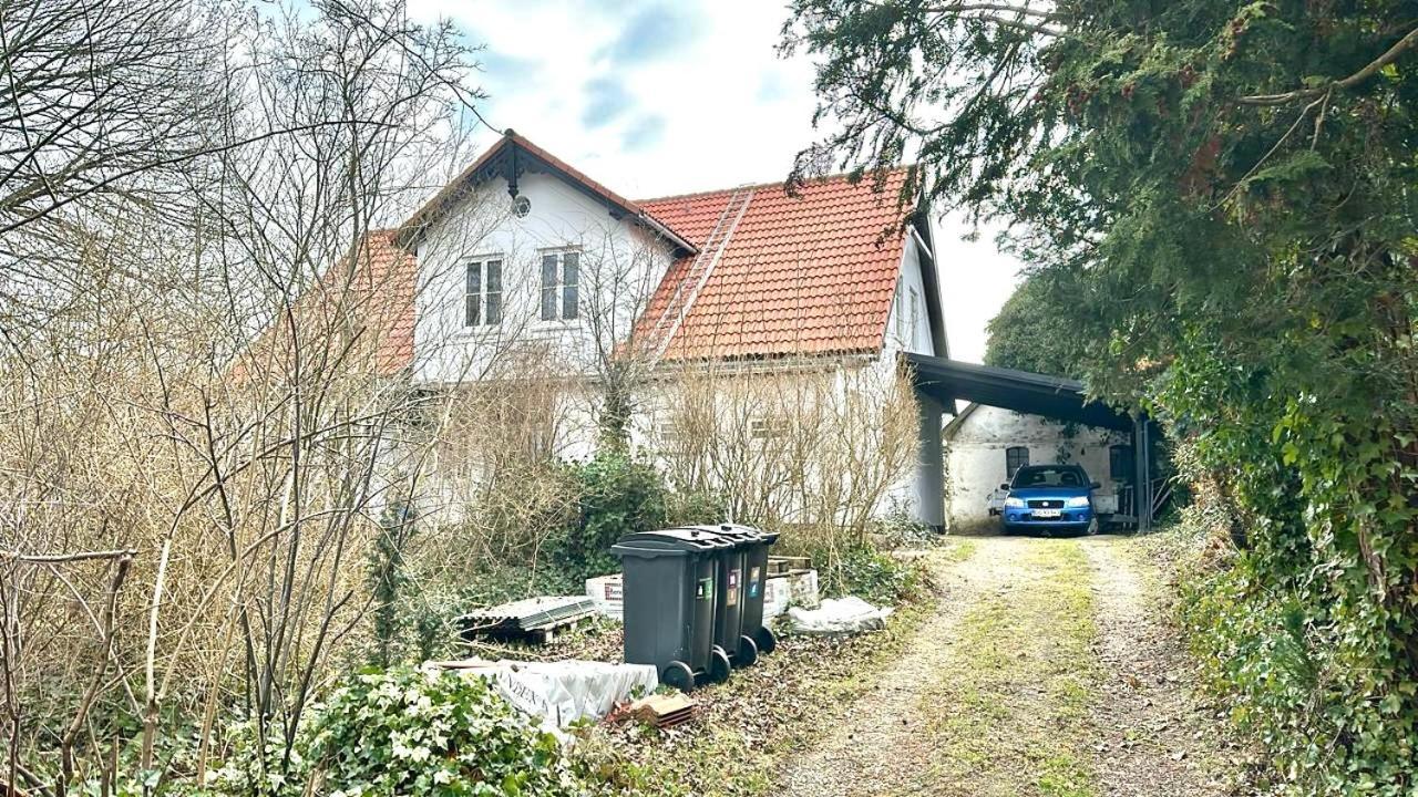 Villa Apartment Near Lousiana Humlebæk Kültér fotó